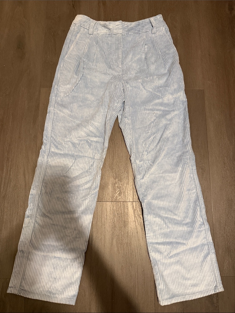 Aritzia Light Blue Striped Corduroy Women's Pants